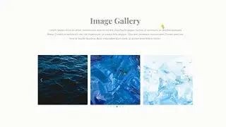 How to Use the Image Carousel Widget - Elementor By Freelancre Sobuz