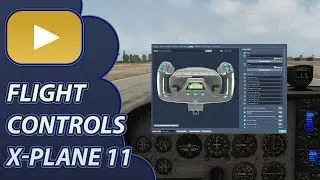 X-Plane 11 Flight Controls Setup (With Response Curve)