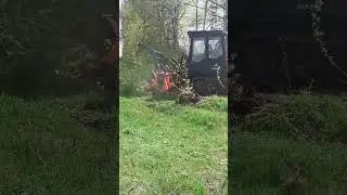 ТЛПшка бьёт кустарник