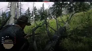 Red Dead Redemption 2 Letsplay FR 3ème Live Stream (Decouverte)