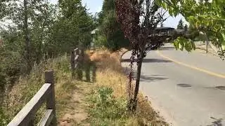 2024-07-26 гуляю по городку