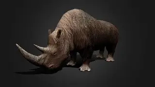 Wolly Rhinoceros 3D Asset Model Low poly for Games AR VR