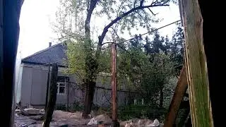 Прилетели ласточки