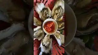 Fresh oysters with chili garlic sauce #shorts #viral #foodie #asmr #yummy