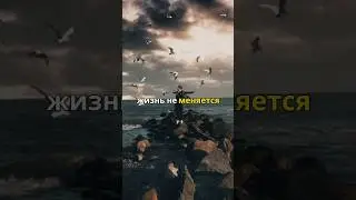 Взгляд на жизнь.