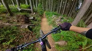 THE BEST DESCENT HERE