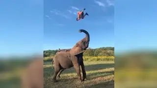 LIKE A BOSS COMPILATION #4 AMAZING PEOPLE VIDEOS