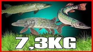 7,3KG HECHT GEFANGEN | • Russian Fishing 4 [Deutsch]