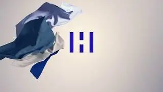Hirdaramani - The Future Starts Now