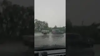 Летний дождь...
