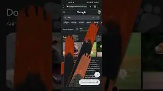 I bet you didnt know this trick | Dog Paws #tech 😱🤯