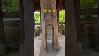 구산선문! 무엇일까요? 송광사 초대 방장을 지내신 구산스님 부도가 있는 탑전 가는길 #탑전