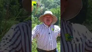 5 meses para SER Agricultor - Capítulo # 1