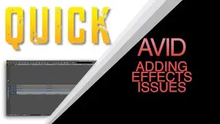 AVID EFFECTS STEP IN ISSUES