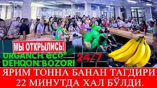 Ярим тонна банан тагдири 22 минутда хал бўлди. 05.07.2024