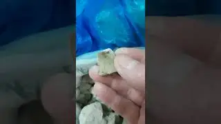 просто хруст