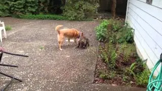 The Meeting
