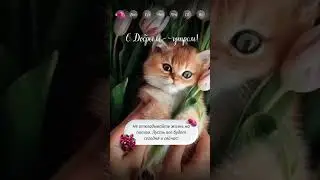 19 февраля 2024 г.