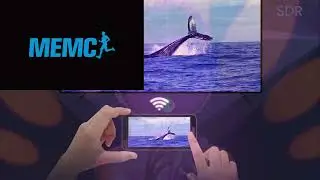 Memc 合成性廢片第二集