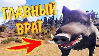 RUST МОНТАЖ | ПОДНЯЛСЯ НА СВИНЬЯХ | СОЛО ВЫЖИВАНИЕ В РАСТ