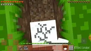 баг