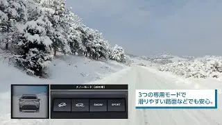 フロンクス機能説明動画① 4WD