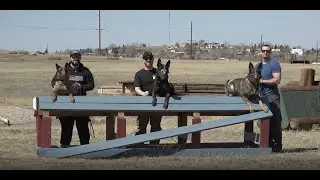 Gillette Police Department K9 Officers