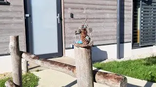 ЦентрПарк Альгой