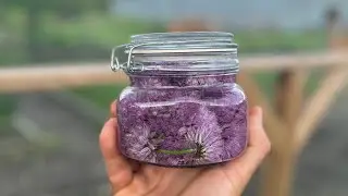 Chive blossom vinegar #shorts