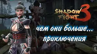 В тылу врага... Приключения Shadow Fight 3