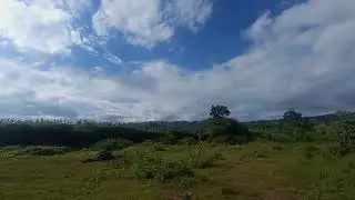nutere video by mobile full screen| mind blowing neture video 