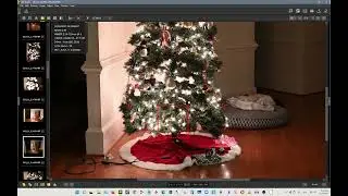 Nikon Z 24-120mm f/4 Real-Life Testing Reviews