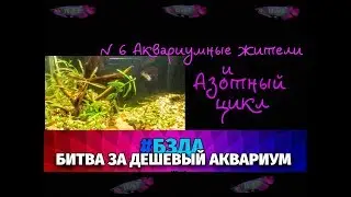 #BZDA