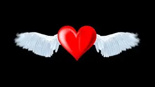 Angle Heart Flying Black screen, green screen