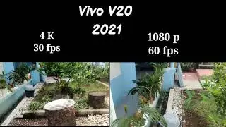 HASIL KAMERA VIVO V20 2021