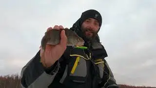 Kolm päeva Jääl.     1.030kg Ahven