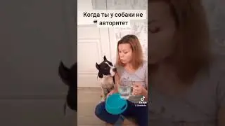 #юмор