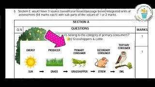 science PREBOARD practice paper KVS