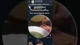 Хлеба возьми 😂#cat #meme #telegram #for #youtubeshorts #bread #plslikesubscribe #likeforlikes