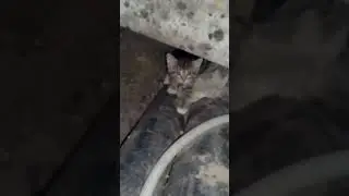 18 ноября 2023 г.
