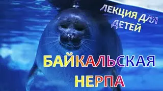 Лекция для детей 5+ 