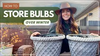 How to Store Bulbs Over Winter (in Pots)