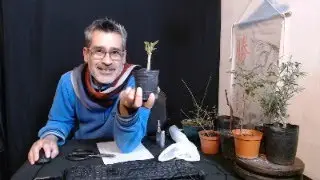 DIRECTO DIA MIERCOLES 21 DE AGOSTO 2024