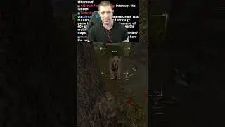 The tree got in the way | retrogradetom on #Twitch