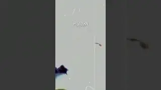 @Sidoka - Eu Tomei Xanax ;7 | LEGENDADO para STATUS