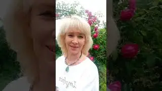 Ченнелинг - открытие канала