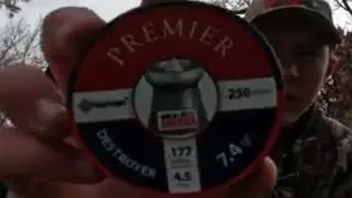 The best pellet for a .177 air rifle!