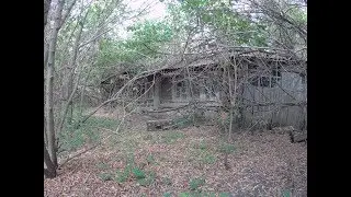 ЖУТКИЙ ЗАБРОШЕННЫЙ ДОМ В ЛЕСУ.  ВЫ НЕ ПОВЕРИТЕ КТО В НЕМ ЖИЛ!