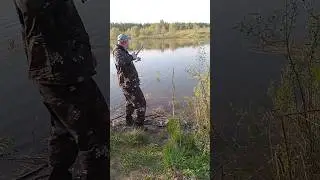 "Берёза белая.." ( Тамара Кутидзе)