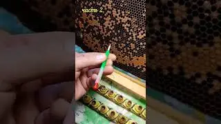 шпатель для личинок, прививка на маток, матководство